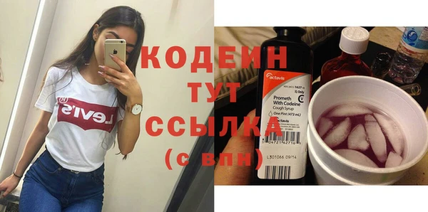 прущая мука Вяземский