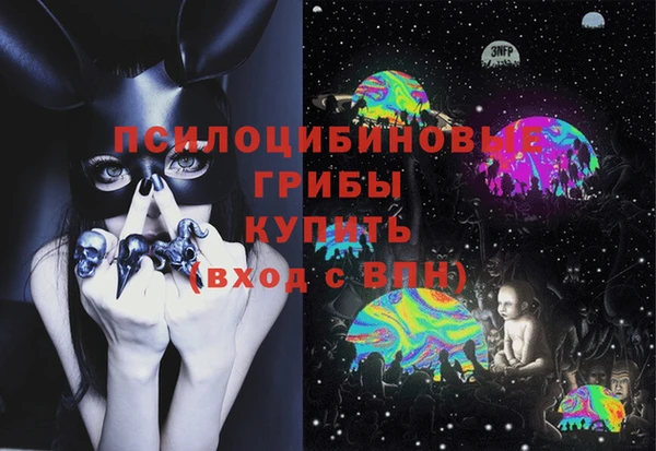 прущая мука Вяземский