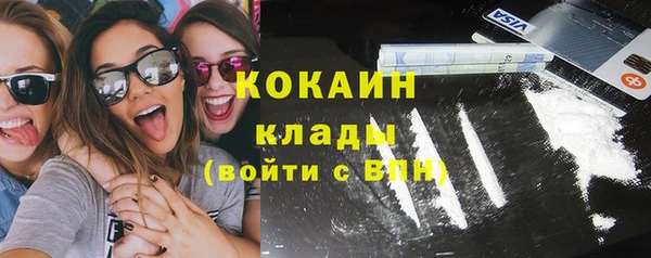 прущая мука Вяземский