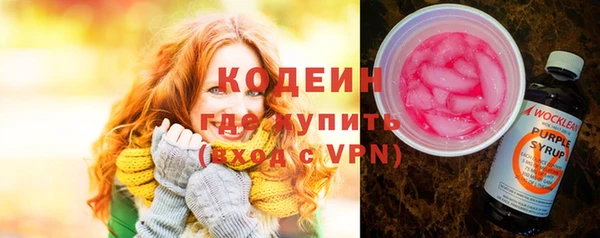 прущая мука Вяземский