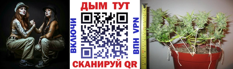Купить где  Корсаков  Бошки марихуана индика 